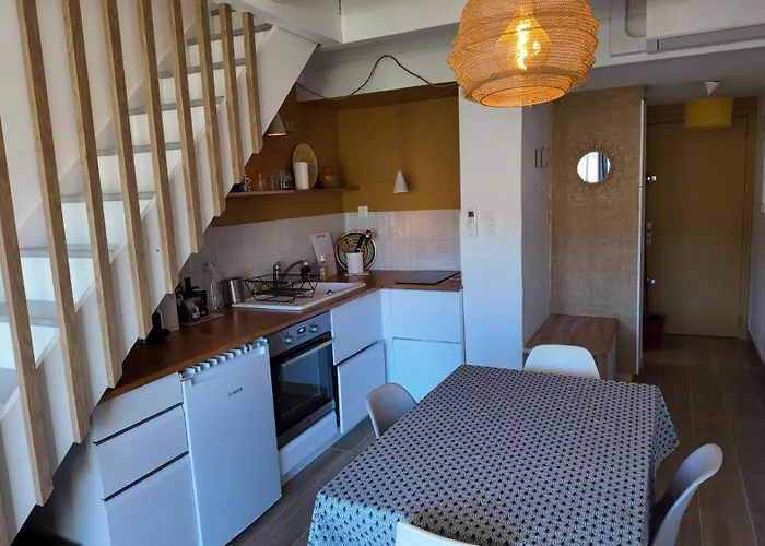 L'ibis Duplex, Secteur Pin Rolland, A Pied, Parking Entierement Renove *